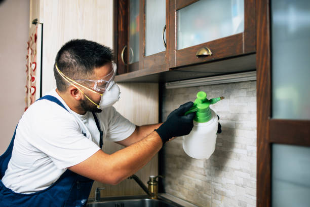 Best Wildlife Control Services  in Cassville, MO