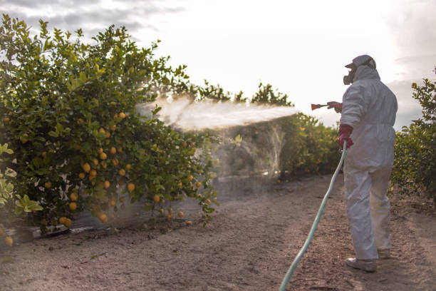 Best Emergency Pest Control  in Cassville, MO