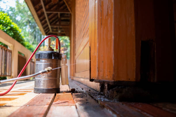 Best Exterminator Services  in Cassville, MO