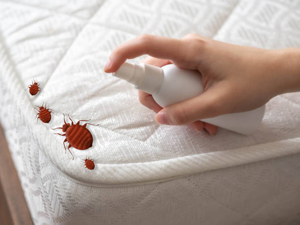 Trusted Cassville, MO Pest Control Experts