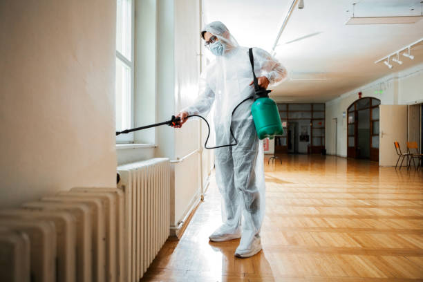 Best Best Pest Control Companies  in Cassville, MO