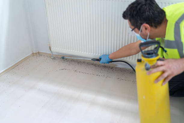 Best Termite Control Services  in Cassville, MO