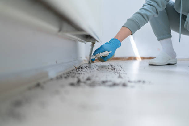 Best Pest Removal Services  in Cassville, MO