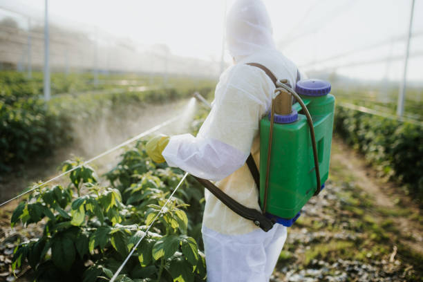 Pest Prevention Services in Cassville, MO